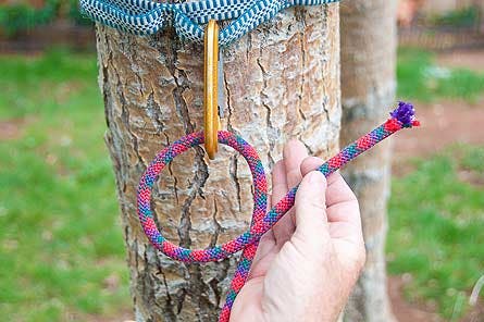 Knot Slideshow Clove Hitch Single 2 445x296 25022 knot slideshow clove hitch single 2 445x296
