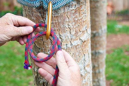 Knot Slideshow Clove Hitch Single 3 445x296 25023 knot slideshow clove hitch single 3 445x296