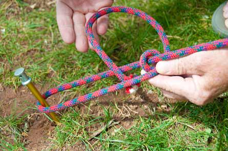 Knot Slideshow Tautline 4 445x296 25068 knot slideshow tautline 4 445x296
