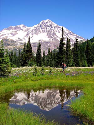 Reader Photo Rainier300x400 24926 Reader Photo Rainier300x400