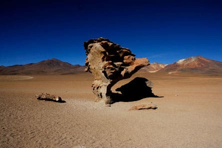 Reader Photo Rock-445x296 24928 Reader Photo Rock-445x296