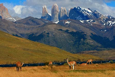 Reader Photo TorresdelPaine-445x296 24925 Reader Photo TorresdelPaine-445x296