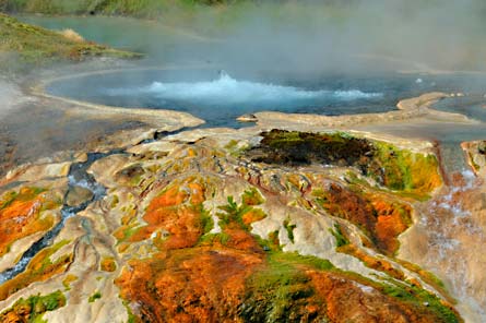 Reader Photo Yellowstone-445x296 24927 Reader Photo Yellowstone-445x296