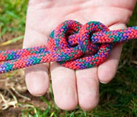 TAUTLINE8200x170 None