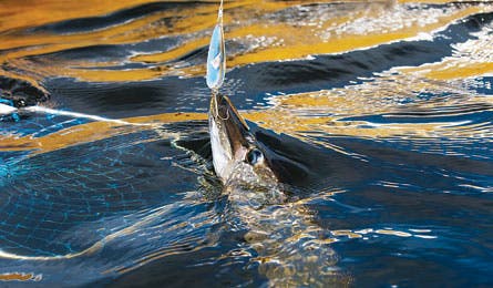 10boundary Waters445x260 Kennedy 25431 boundary waters