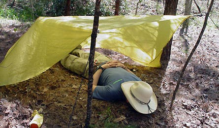 gear slideshow MSR ewing 6 445x260