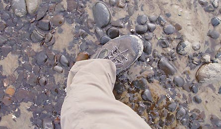 Gear Slideshow Oboz 5 445x260 25569 gear slideshow oboz 5 445x260