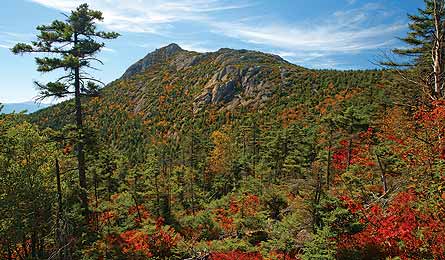 "sept 2010 local hikes boston 445x260"