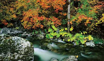 sept 2010 rip go stuart fork 445x260