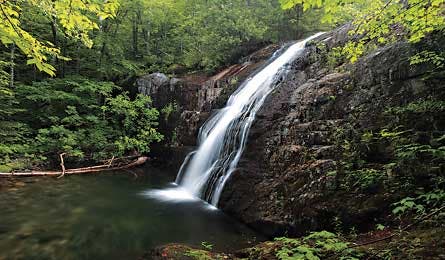 sept 2010 rip go virgin red spruce 445x260