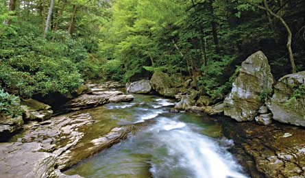 "top3-gadomski-89449_bjk-140x75.jpg"