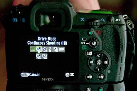 User-Contributed Media 25206 None