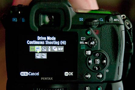 User-Contributed Media 25206 None