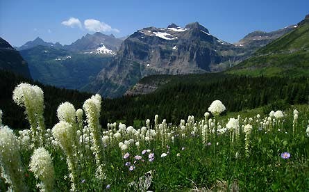 User-Contributed Media 25426 None