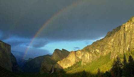 User-Contributed Media 25428 None