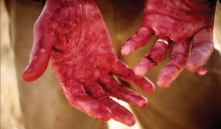 3Hunting445x260 26049 hiking hunting