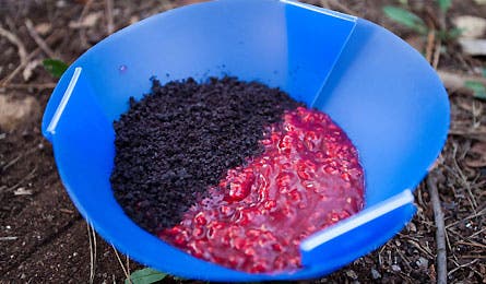 Backcoutnry Birthday 8 445 26595 backcoutnry birthday 8 445