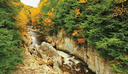 "long_trail_Blackley_445.jpg"