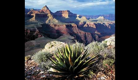 october 2010 rip n go grandview loop 445x260