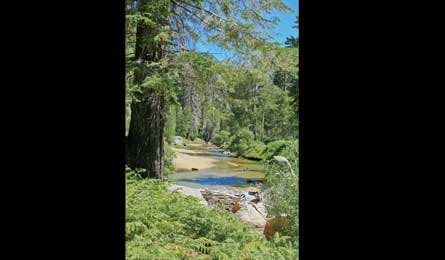 October 2010 Rip N Go Paradise Valley 445x260 26072 october 2010 rip n go paradise valley 445x260