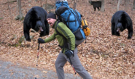 Backpacking with animals - Wikipedia