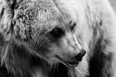 Slideshow October 2010 Reader Photos 5 445 25891 slideshow october 2010 reader photos 5 445