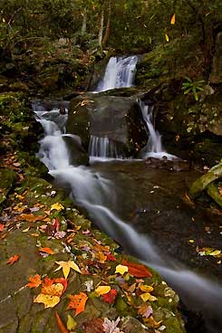 slideshow october 2010 reader photos 6 445