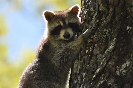 Slideshow October 2010 Reader Photos 8 445 25900 slideshow october 2010 reader photos 8 445