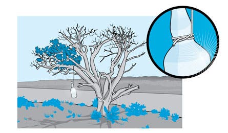 Whiskeysignal445x260 26173 whiskey survival