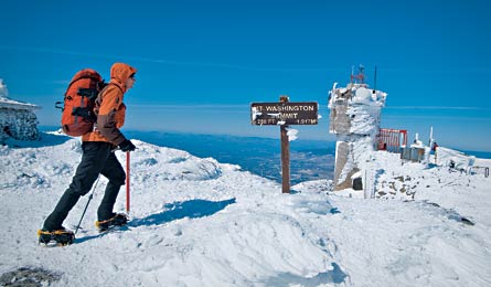 "BFullerton_MtWashington-445x260.jpg"