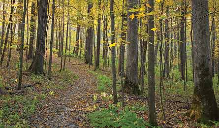 BackpackTrail 445x260.jpg 27232 /Volumes/Drobo/Backpacker Web/For_Web_Mag_Photos/2011/1-2011/Destinations/Great Plains/resized plains/Farlinger_BackpackTrail_445x260.jpg