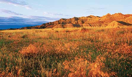 BisonTrail 445x260.jpg 27231 BisonTrail_445x260.jpg