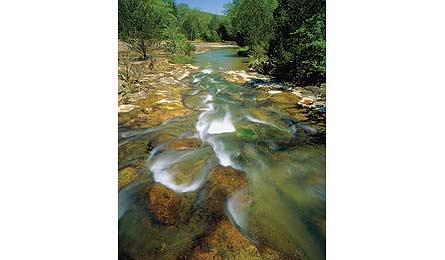 /Volumes/Drobo/Backpacker Web/For_Web_Mag_Photos/2011/1-2011/Destinations/Great Plains/resized plains/Till_BuffaloRiver_445x260.jpg