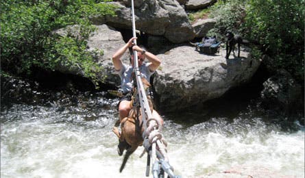 Gear Review dog gear Doubleback Harness 445x260