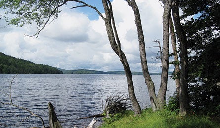 Scott CranberryLake 445x260 27136 Scott_CranberryLake_445x260