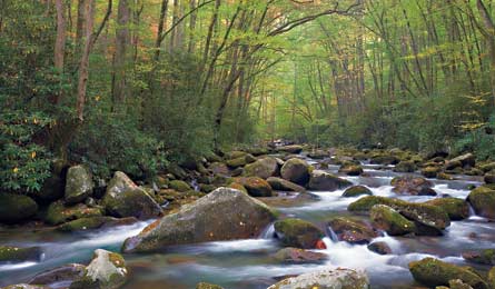 TadBowman Bigcreek 445x260 27167 TadBowman_bigcreek_445x260