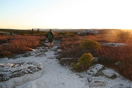 Davis_DollySods_12IMG_3385.jpg
