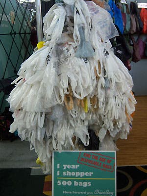 Or Chico Plastic 445 27777 None