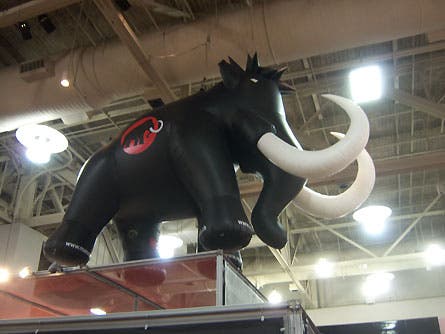 Or Mammut Elephant 445 27775 None