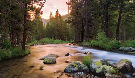 Yosemite Russell 445x260 27764 yosemite