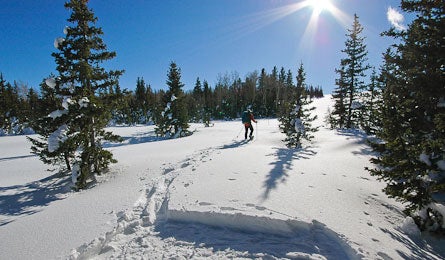 9. PitchingaTentonSnow9445x260 None