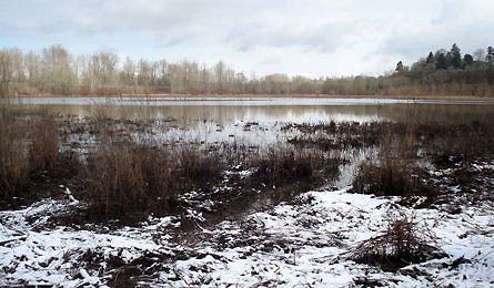 Slideshow SOL Survival Kit 8 445x260 28181 slideshow SOL survival kit 8 445x260