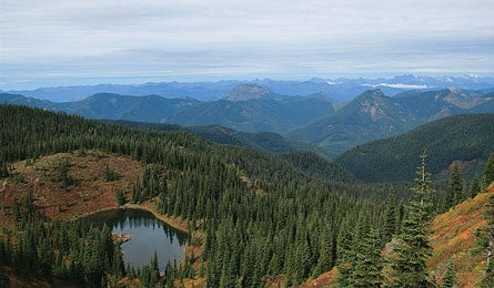 "Tate_GeorgeLake_445.jpg"