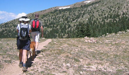 Groups2 445x260 28204 Groups who hike together, finish together. (Jason Stevenson)