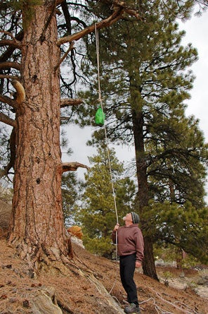 PCT-BEAR-HANG-11.jpg 28513 hang a bear bag