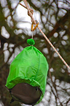 Bear Food Bag Hanging System, Easy to Throw Ultralight Bear Bag Kit for  Camping with a 10L Waterproof Bear Bag Backpacking, Survival Utility Rope,  Carabiner, Cixiaor Sock and Instructions : : Sports