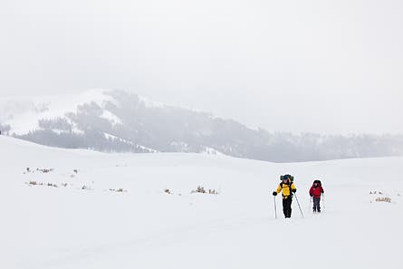 slideshow yellowstone 2_445