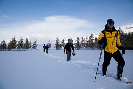 Slideshow Yellowstone 3 445 28537 slideshow yellowstone 3 445