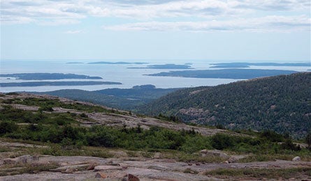 TrungQLe Acadia 445x260 28318 TrungQLe_Acadia_445x260