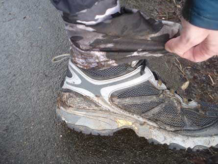 DGG-Slideshow_no-debris-with-hand